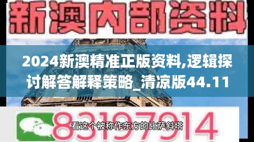 2024新澳精准正版资料,逻辑探讨解答解释策略_清凉版44.111