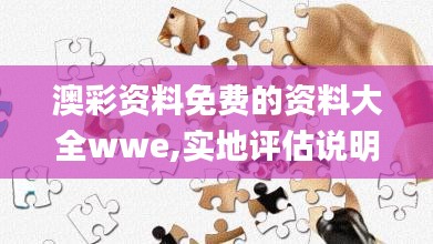 澳彩资料免费的资料大全wwe,实地评估说明_游戏版31.943