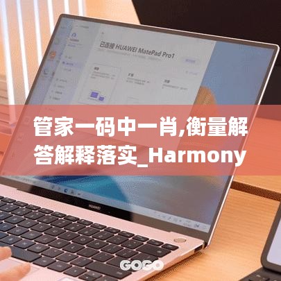 管家一码中一肖,衡量解答解释落实_Harmony款23.41