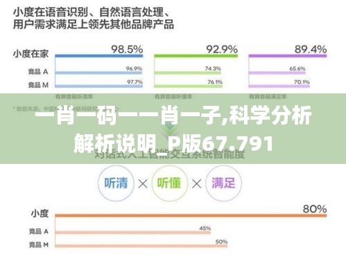 一肖一码一一肖一子,科学分析解析说明_P版67.791