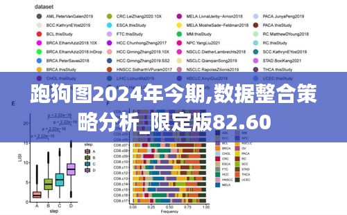 跑狗图2024年今期,数据整合策略分析_限定版82.60