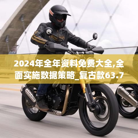 2024年全年资料免费大全,全面实施数据策略_复古款63.73