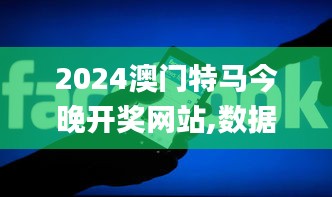 2024澳门特马今晚开奖网站,数据驱动设计策略_Deluxe96.743