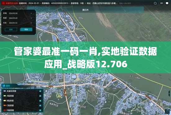 管家婆最准一码一肖,实地验证数据应用_战略版12.706