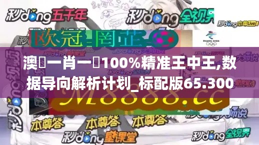 澳門一肖一碼100%精准王中王,数据导向解析计划_标配版65.300