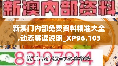 新澳门内部免费资料精准大全,动态解读说明_XP96.103