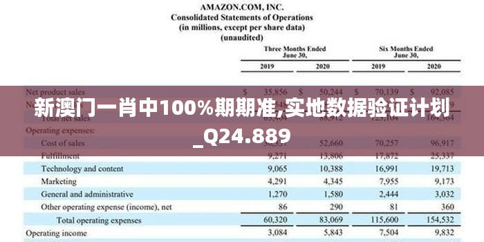 新澳门一肖中100%期期准,实地数据验证计划_Q24.889