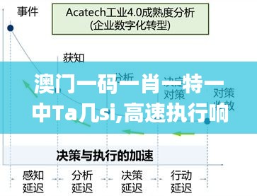 澳门一码一肖一特一中Ta几si,高速执行响应计划_完整版24.800