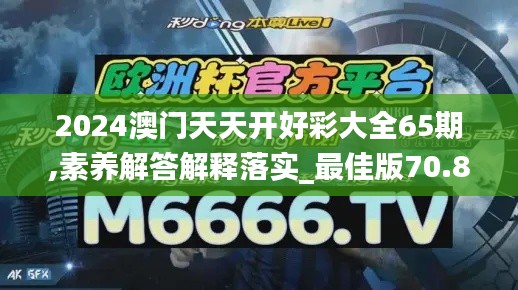 2024澳门天天开好彩大全65期,素养解答解释落实_最佳版70.84