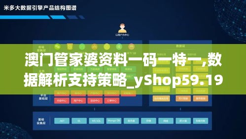 澳门管家婆资料一码一特一,数据解析支持策略_yShop59.195