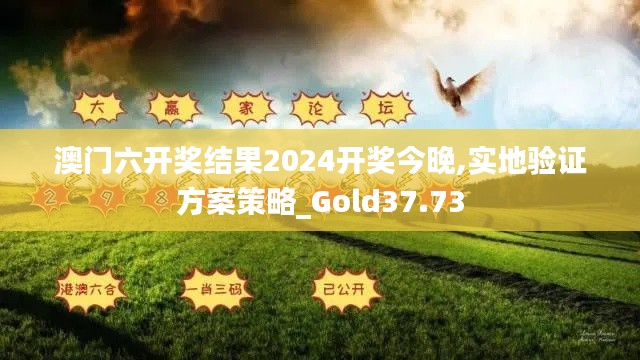 澳门六开奖结果2024开奖今晚,实地验证方案策略_Gold37.73