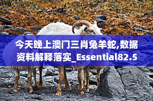 今天晚上澳门三肖兔羊蛇,数据资料解释落实_Essential82.569