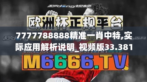 7777788888精准一肖中特,实际应用解析说明_视频版33.381