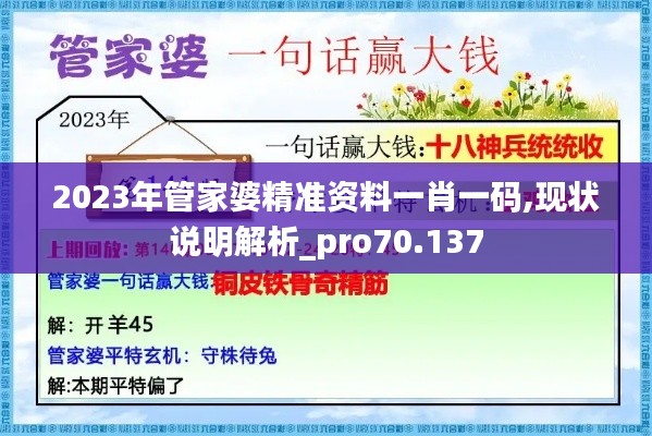 2023年管家婆精准资料一肖一码,现状说明解析_pro70.137