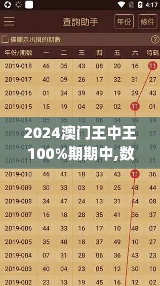 2024澳门王中王100%期期中,数据支持计划解析_SE版25.928