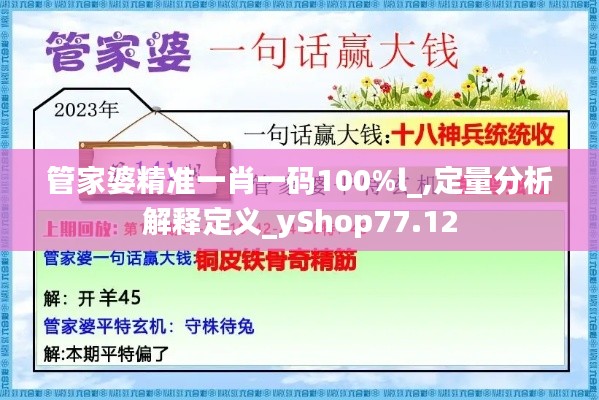 管家婆精准一肖一码100%l_,定量分析解释定义_yShop77.12