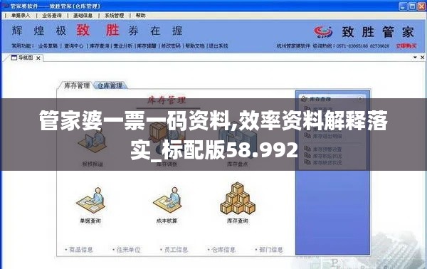 管家婆一票一码资料,效率资料解释落实_标配版58.992