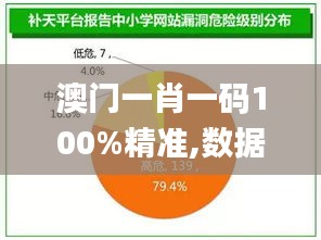 澳门一肖一码100%精准,数据导向执行解析_4K90.53