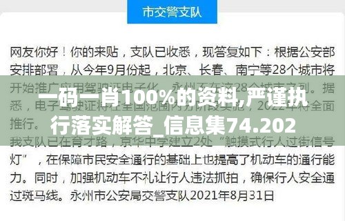 一码一肖100%的资料,严谨执行落实解答_信息集74.202