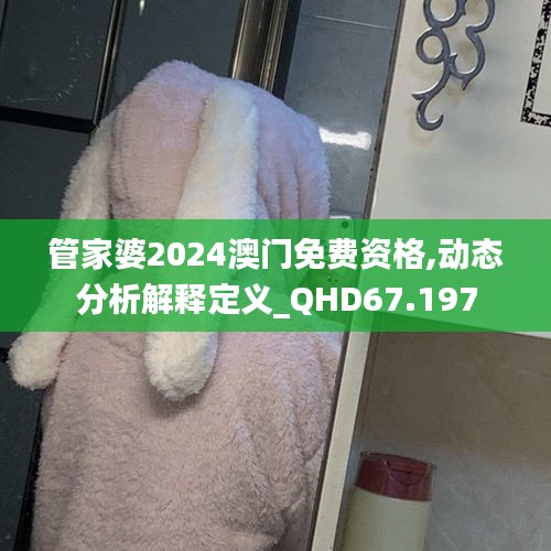 管家婆2024澳门免费资格,动态分析解释定义_QHD67.197