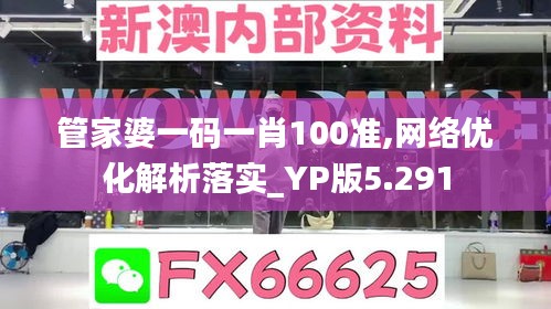 管家婆一码一肖100准,网络优化解析落实_YP版5.291