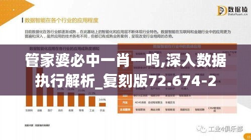 管家婆必中一肖一鸣,深入数据执行解析_复刻版72.674-2