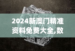 2024新澳门精准资料免费大全,数据驱动策略设计_云端版7.357-9