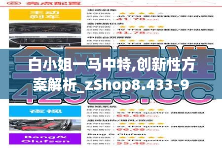 白小姐一马中特,创新性方案解析_zShop8.433-9