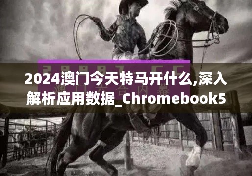 2024澳门今天特马开什么,深入解析应用数据_Chromebook52.783-8