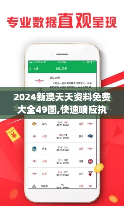 2024新澳天天资料免费大全49图,快速响应执行策略_S141.812-4