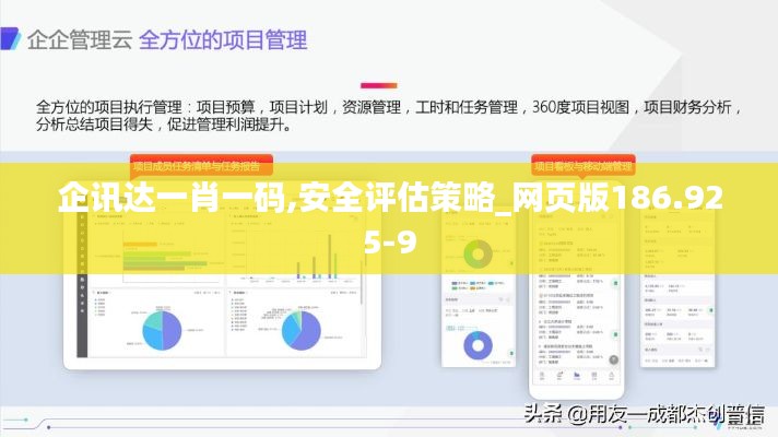 企讯达一肖一码,安全评估策略_网页版186.925-9