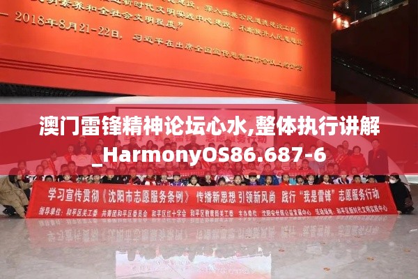 澳门雷锋精神论坛心水,整体执行讲解_HarmonyOS86.687-6