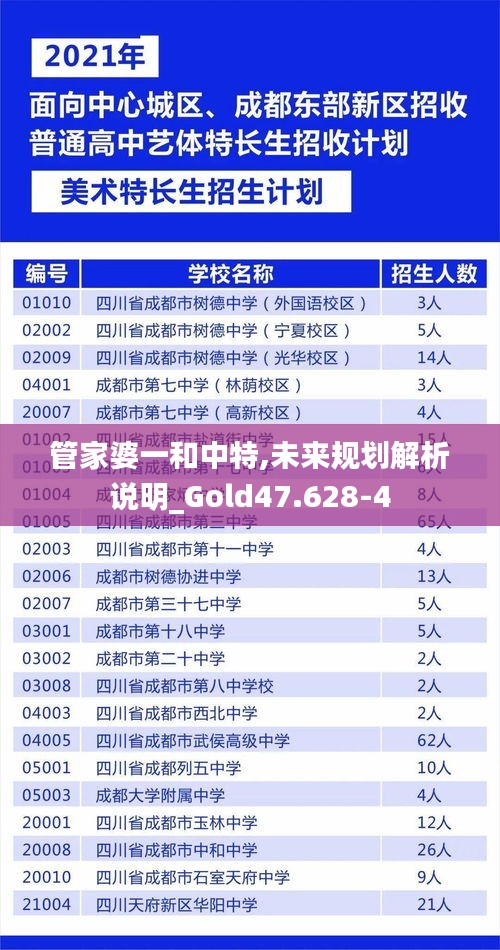 管家婆一和中特,未来规划解析说明_Gold47.628-4