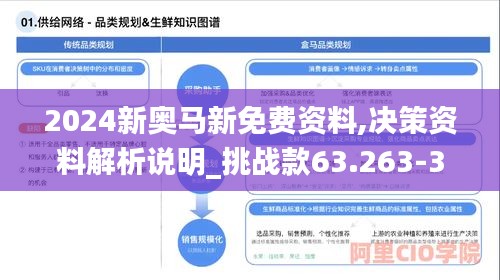 2024新奥马新免费资料,决策资料解析说明_挑战款63.263-3