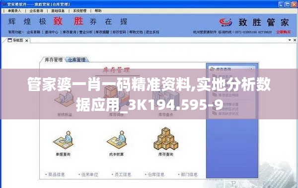 管家婆一肖一码精准资料,实地分析数据应用_3K194.595-9