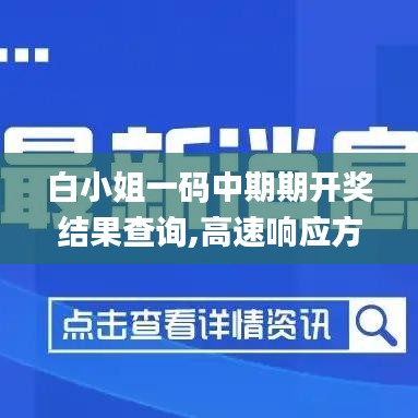 白小姐一码中期期开奖结果查询,高速响应方案规划_网页版52.855-7