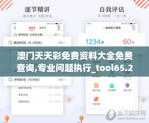 澳门天天彩免费资料大全免费查询,专业问题执行_tool65.290-4