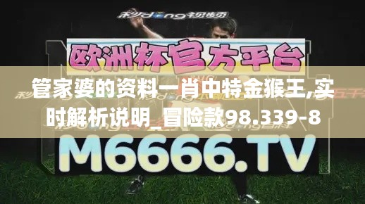 管家婆的资料一肖中特金猴王,实时解析说明_冒险款98.339-8