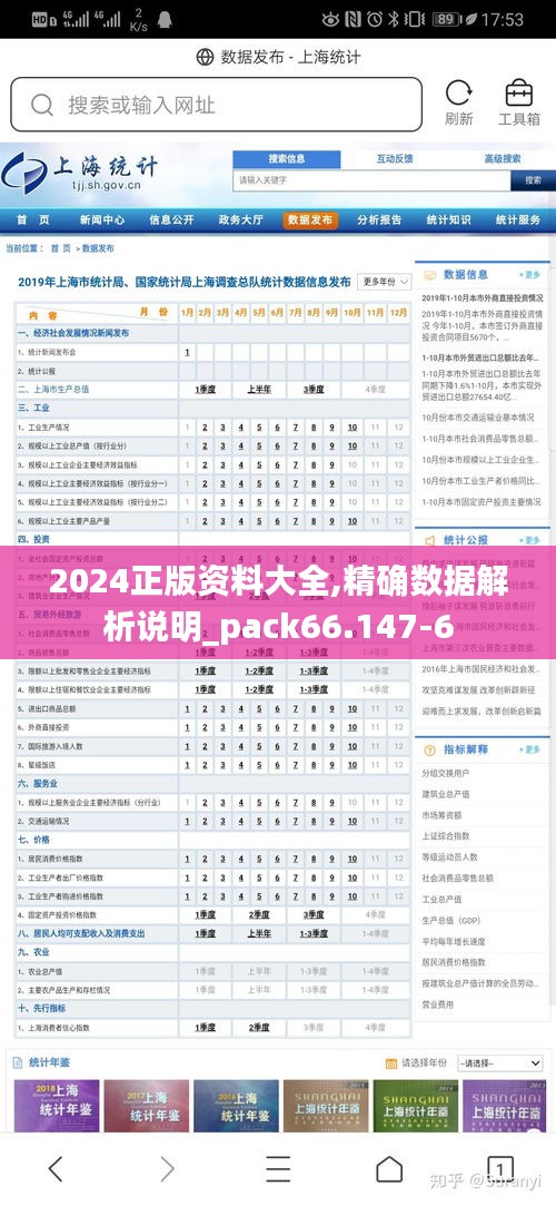 2024正版资料大全,精确数据解析说明_pack66.147-6