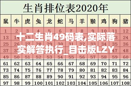 十二生肖49码表,实际落实解答执行_目击版LZY3.28