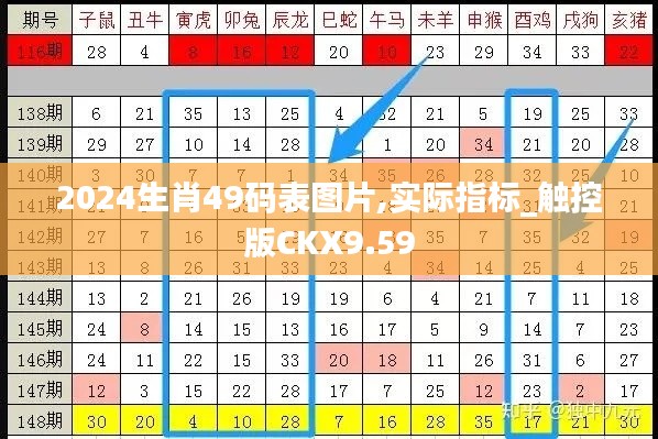 2024生肖49码表图片,实际指标_触控版CKX9.59