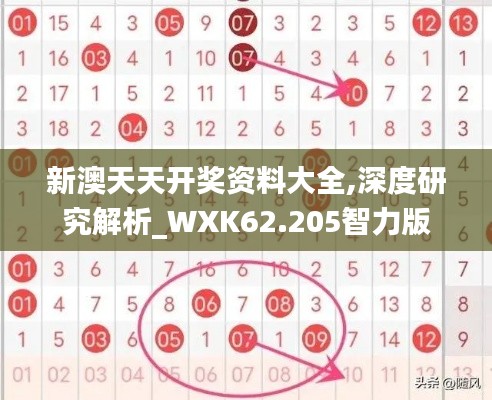 新澳天天开奖资料大全,深度研究解析_WXK62.205智力版