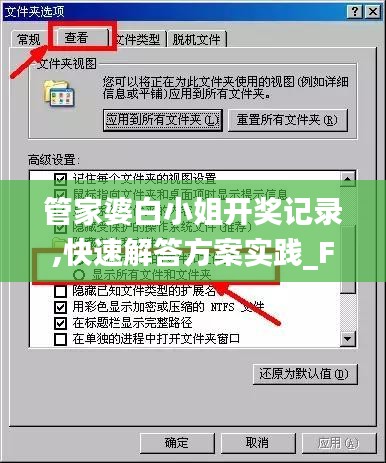 管家婆白小姐开奖记录,快速解答方案实践_FLX27.388交互版