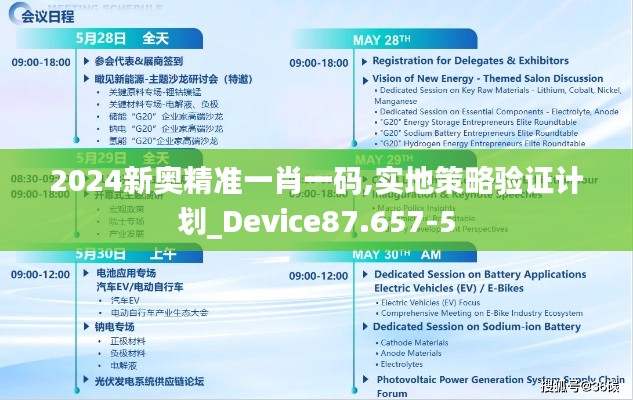 2024新奥精准一肖一码,实地策略验证计划_Device87.657-5