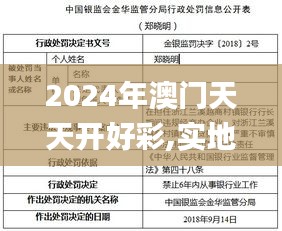 2024年澳门天天开好彩,实地数据评估分析_YFK93.438智能版