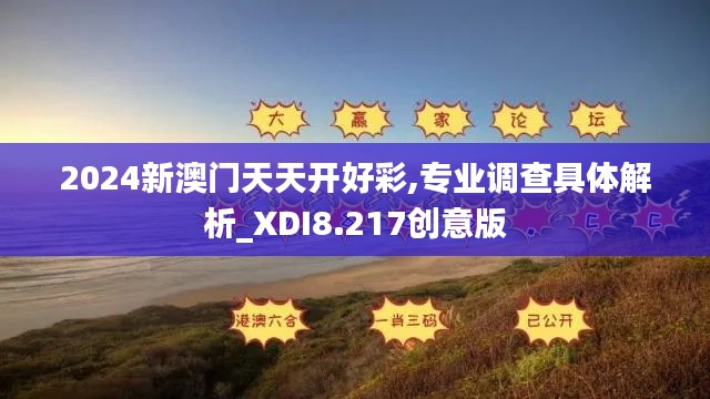 2024新澳门天天开好彩,专业调查具体解析_XDI8.217创意版