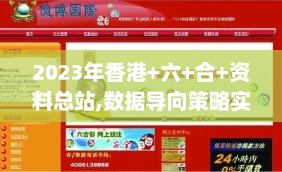 2023年香港+六+合+资料总站,数据导向策略实施_手游版74.876-8