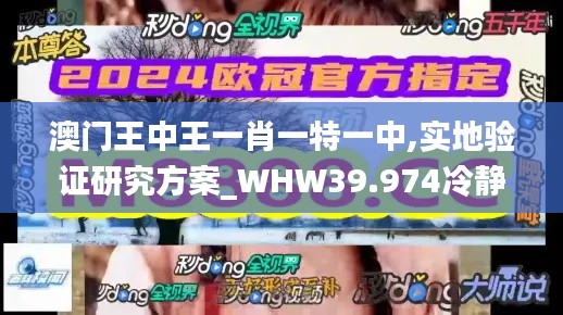 澳门王中王一肖一特一中,实地验证研究方案_WHW39.974冷静版