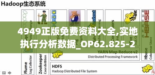 4949正版免费资料大全,实地执行分析数据_OP62.825-2