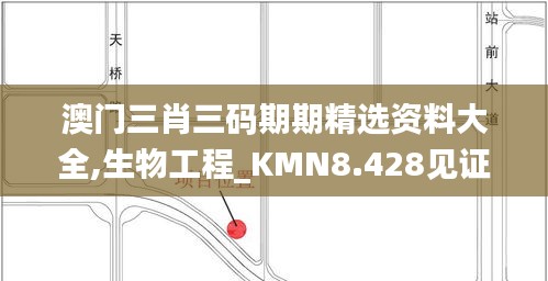 澳门三肖三码期期精选资料大全,生物工程_KMN8.428见证版